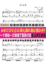 White head Chin B drop BA drop G rise FE drop D rise C drop CC positive spectrum