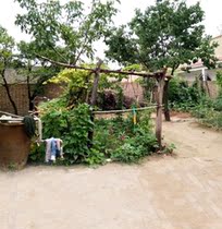 Live background wall illustration rural old house layout wallpaper decoration senior hanging cloth rural leather cloth wall cloth background wall