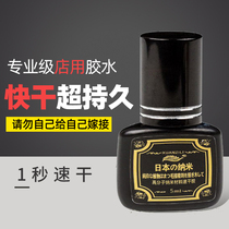 Grafting eyelash glue Mei Zi shop special closed eyes hypoallergenic type eyelashes one second quick-drying super stick persistence type