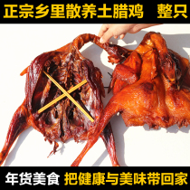 Authentic country free-range chicken smoked bacon chicken Hunan specialty air-dried salted chicken bacon duck farm homemade whole