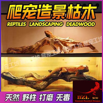 Climbing pet landscaping wood hyena maned lion lizard climbing sun platform eyelash angle palace guard chameleon reptile breeding box dead wood branches