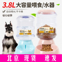 Pet water dispenser dog food basin cat water basin feeder cat automatic water feeder Teddy