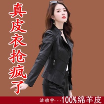 Haining leather jacket womens spring and autumn sheep leather fashion waist short womens motorcycle leather jacket
