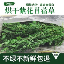 2021 New head stubble alfalfa seedlings hay Rabbit Chinchilla Dutch pig grass food young rabbit grass Gross weight 1000g