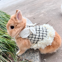 Rabbit small scented wind clothes traction rope Rabbit Rabbit Dutch pig kitty warm chest strap coveted rabbit dwarf rabbit