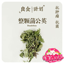 (Chic) standing health flowers and plants drying the whole dandelion antibacterial anti-inflammatory diuretic 50g box 1kg