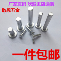 Flat head aluminum rivet solid aluminum rivet M2 5M3M4M5M6M8M10 hand beating type tapping type aluminum rivet