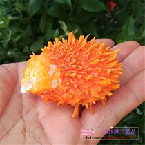 Natural conch shell orangutan sea chrysanthemum clam yingwang sea clam aquarium fish tank landscape home window decoration