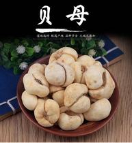Chinese herbal medicine Fritillaria thunbergii Zhejiang shellfish Wild Elephant Shell 500g