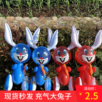  Luminous inflatable frog PVC inflatable big ear rabbit with lamp cartoon animal childrens toys night market stall supply