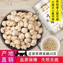 Kawabe Zhengzong Sichuan Addams Fritillaria Pine Bay Non-Zhejiang Bay Hide Beeping Bay Powder Positive Color 500 gr bottled