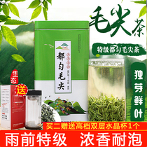 2021 new tea Guizhou Qiancha Duyun Maojian tea super tender Bud fried green tea bulk rain Tea 250g