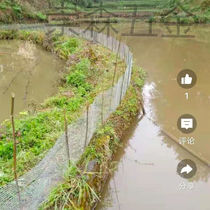 Cold Plated Zinc Iron Wire Mesh Steel Wire Mesh Breeding Chicken Enclosure Rat-Proof Ring Ground Breeding Stop Chicken Pond Fish Pond Protective Slope Cement Anti-Cracking