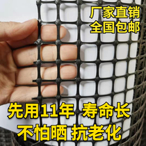 Plastic net breeding net chicken and duck net protective net guardrail corn plastic grid fence net leakage hole Outdoor