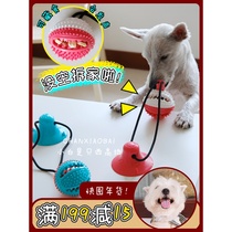 Xiaopai is a West Highland dog sucker toy molars alone to eliminate boredom bite wear energy sound interaction