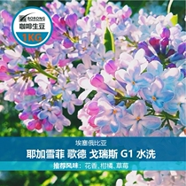 Baorong 21 years Ethiopia yagahefi coffee raw bean Goris washed 1kg hand washed cold bubble hanging ear