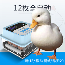 Cole duck special incubator stability recommended version novice automatic turning egg humidification incubator home worry-free