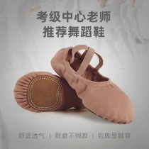 Full elastic cloth dance shoes womens soft bottom Winter Children adult practice professional cat claw shoes body ballet show instep