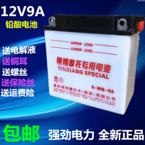12N9-4B-1 tricycle 125 150 Prince motorcycle water battery 12v Volt battery 9ah Universal