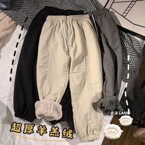 Winter pants male garnter thickened lamb wool loose straight drum cotton pants Chauchpins Inward wind card its color sports pants