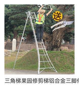 Triangle ladder Orchard trim ladder aluminum alloy three-legged telescopic ladder gardening ladder picking Greening garden ladder super long 7 meters