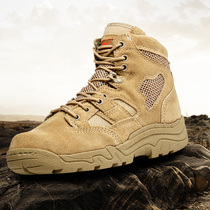 Low-top desert boots Mens special forces new combat boots Tactical boots Spring and autumn and winter outdoor hiking boots
