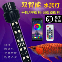 Yujiro fishbowl lamp waterproof lighting led lamp brightening koi parrot red light aquarium dragon fish diving lamp