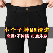 Big code hit bottom pants woman short and small child 150cm outwear 80% spring and autumn display slim and small feet fat mm200 catty black pants