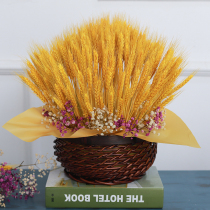 Natural barley bouquet opened wheat ear dried flower living room pastoral decoration ornaments dried flower arrangement shooting flower basket props