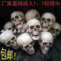 Shooting props skull cos dress up simulation peoples small skull Halloween haunted house decoration skull head model