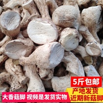 Shiitake mushroom feet dry goods 500g bulk Daxiang Gu legs New goods Donggu silk commercial fillings ingredients double cut Xiangrugen