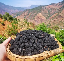 Sichuan Panzhihua Farmhouse Mulberry Dried Home Planting Zero Add 500g Non Xinjiang