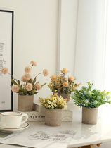 Nordic simulation flower potted living room ornaments fake flower green plant small bonsai balcony table flower decoration creative
