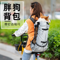 Dogs go out for a double shoulder back dog bag Kirky backpack large dog portable large size Chest Front Large Dog Pet Chai Dog Gold Wool