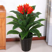 Fake flower emulation green planting plastic silk flower living-room interior decoration floor bonsai planting fake plant fake tree Hongyun to be head