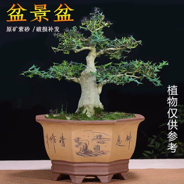 八方紫砂花盆-八方紫砂花盆促销价格、八方紫砂花盆品牌- 淘宝
