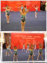 New custom-made childrens artistic gymnastics clothes can also be customized for adults