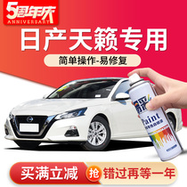 Dedicated to Nissan Teana paint pen Pearl white Pearl white Thermalite black car supplies original paint self-painting