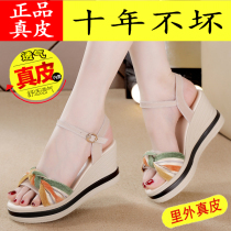 Red Dragonfly Clear Cabin Special Price Genuine Leather Straight Belt Sandals Sandals Women 2022 Summer New Women Shoes 100 Hitch Slopes Heel