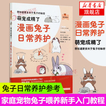 Cute pet becomes fine Comic rabbit daily maintenance My pet book Pet rabbit feeding novice introduction tutorial Family pet Bunny Starling Angora rabbit feeding technology books Rabbit daily maintenance reference books