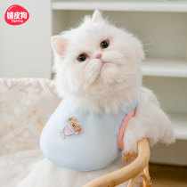 Net-yarn collared kitten waistcoat thin and anti-fall woolen cloth puppets British short blue cat Garfy pet young cat spring and summer clothes