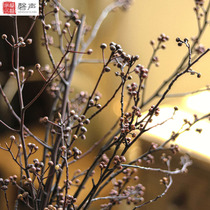 Tree branches retro Zen natural dead branches flower arrangement creative dried flowers real bouquet B&B wabi-sabi art decoration ornaments