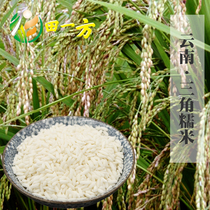Yunnan specialty Yaoan County Triangle glutinous rice Yi Prefecture specialty natural non-pollution 500g