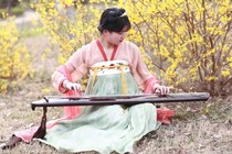 Cedar Guqin and Qili Performance Pure Handmade Fuxi Chaos Zhongni Lianju