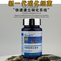 Yier nitrification probiotic fish tank culture water quality prevention of fish disease capsules