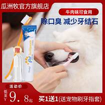 Pet dog toothbrush toothbrush suit dedicated Teddy Kibby Bear with stinky toothbrush