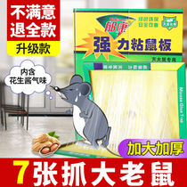 Yukang sticky mouse board strong increase thickened sticky mouse paste catch mouse artifact mouse glue nemesis a nest end