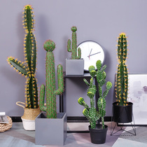 Creative Nordic ins fake flower ornaments cactus living room floor simulation green plant cactus plant decoration potted