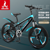 Phoenix childrens bicycle 6-10-12 years old middle school boy and girl student mountain bike 20 22 inch variable speed bicycle