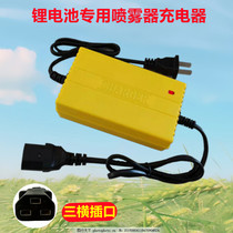 12 6V lithium battery special sprayer charger 12V electric sprayer lithium battery charger Sanhengkou intelligent